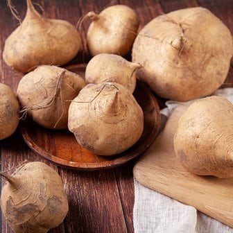  [베트남산 수입]프리미엄 생 히카마 10kg