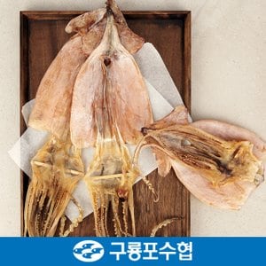 구룡포수협 포항 구룡포 건오징어 5미(570g내외)