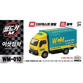 월드카M 이삿짐차