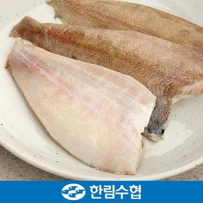 [명절 후 배송][제주 한림수협] 제주 가자미 1.2kg(400g*3팩/팩당2미)