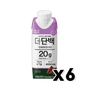 빙그레 더단백 초코 멸균팩 프로틴음료 250ml x 6개