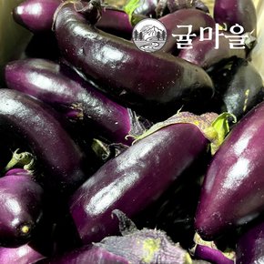 국내산 가정용 가지 2kg