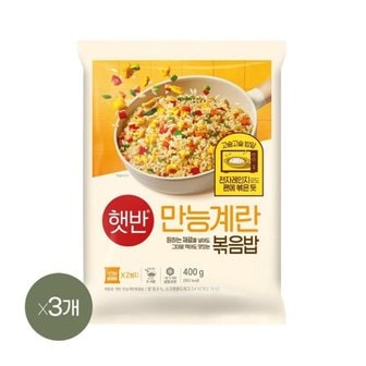 CJ제일제당 햇반 쿡반 만능계란볶음밥 400g x3개