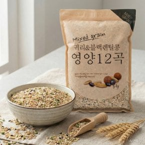 [무료배송]영양12곡 (3kg2봉/총6kg)