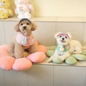 버디케이프&모자세트 우리 댕댕이 여름 산책시 필수품