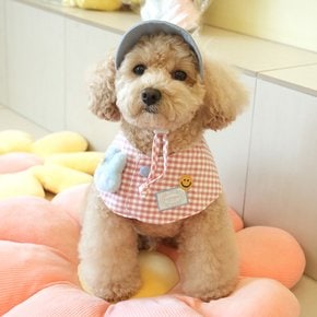 버디케이프&모자세트 우리 댕댕이 여름 산책시 필수품