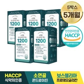 소연골 콘드로이친 맥스 1200 / 1,000mg x 60정 5박스