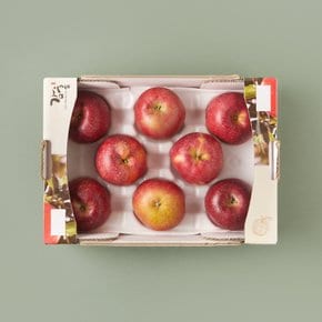프리미엄 감홍 사과 2.5kg 박스