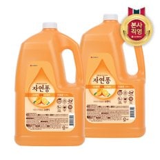 엘지생활건강 자연퐁 주방세제 오렌지 용기형 4kg X 2개