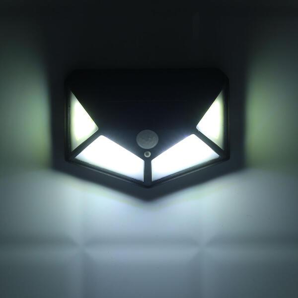 확대된 대표 IMAGE1
