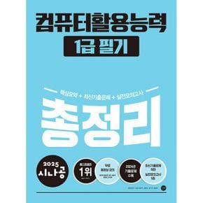 2025 시나공 총정리 컴퓨터활용능력 1급 필기