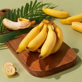 필리핀산 로즈 바나나 350g 팩