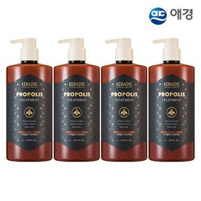 프로폴리스 트리트먼트 1L X 4개 (데미지/두피클렌징/모근 택1)..[34545349]