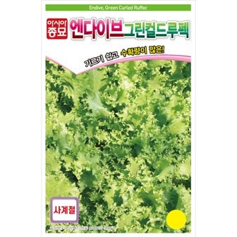 아시아종묘 치커리씨앗종자 엔다이브 그린컬드루펙(1500립) 봄가을용