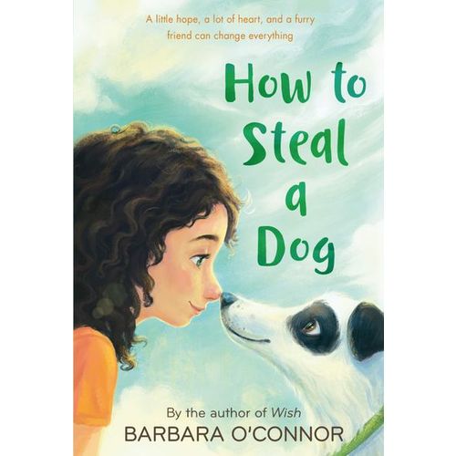 How to Steal a Dog