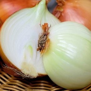 산지직송 아삭 단단한 햇 양파 5kg 특 사이즈 익산원예농협