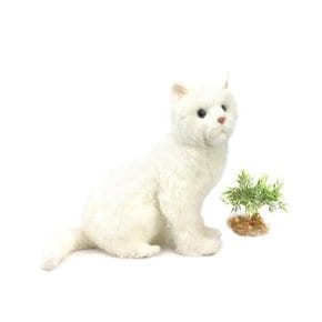 4160 고양이 동물인형(White)/37cm.H_(1767601)