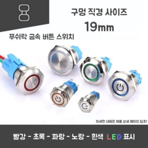 빛나는 선택 전원 및 링 LED 스위치 - 19mm 푸쉬락