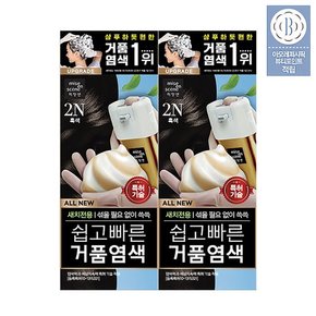 올뉴쉽고빠른 거품염색 80G 2입