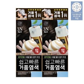 올뉴쉽고빠른 거품염색 80G 2입