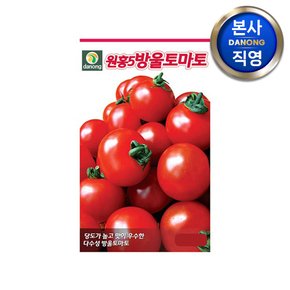 원홍5호 방울 토마토 씨앗 1만립 . 빨간 타원형 텃밭 채소 씨 종자 키우기