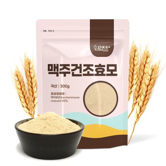 자연초 국산 맥주건조효모 300g 맥주효모분말 가루 파우더