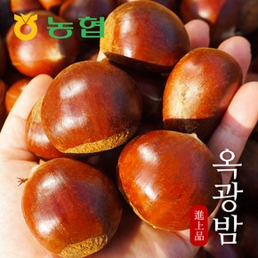 [농협] 달고 고소한 토종맛 옥광밤 로얄대 3kg