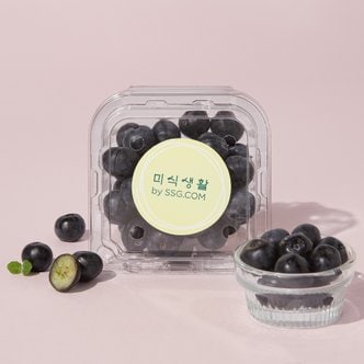 미식생활 국내산 알이 큰 블루베리 (100g)