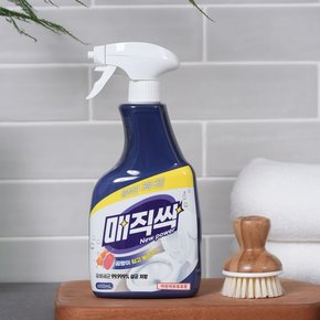 매직싹 뿌리는 곰팡이 세정제 650ml 1개