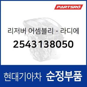 순정 라디에이터 리저버 냉각수통 보조물통 (2543138050) 그랜저XG, 쏘나타EF 현대모비스부품몰