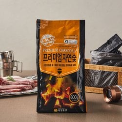 프리미엄 자연숯 800g - SSG.COM