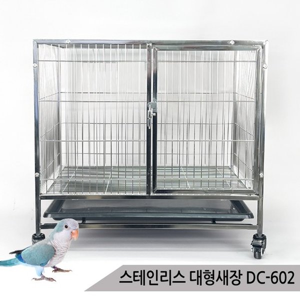 확대된 대표 대표이미지
