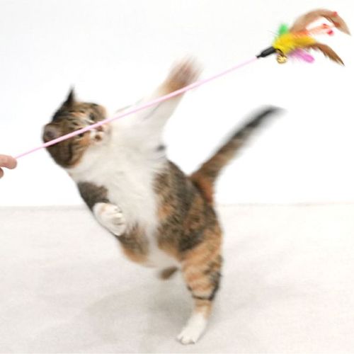 상품이미지2