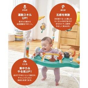 피셔 프라이스(fisher price) 유카이 레인보우 포레스트 점퍼루 (일본직구)