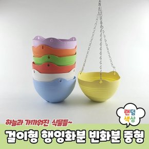 걸이형 행잉화분 빈화분 중형 (WC3D03D)