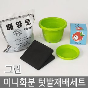 미니화분 텃밭재배세트 그린