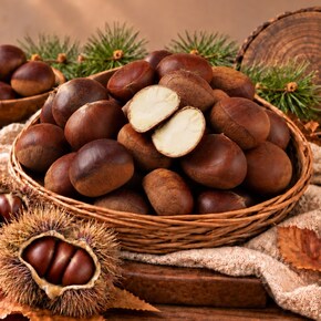 26년 햇 공주 알밤 3kg 망포장 (대품)