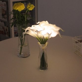  [via k studio] 뉴 화이트 카라부케 LED 무드등