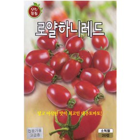 로얄하니 레드 대추토마토씨앗 20립