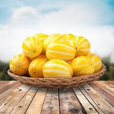 감좋은날 산지직송 성주 못난이 고당도 꿀 참외 랜덤 1kg