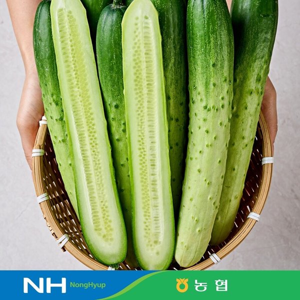 [동김제농협] 백다다기 못난이 오이 2kg (10개 내외)