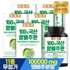 국산 양배추환 100g x 5병 양배추분말100% 곡물첨가제無