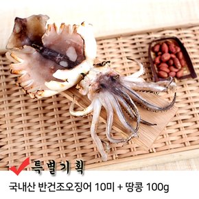 [사은품 증정] 국내산 반건조 오징어 대 10미(1.4kg 내외)+땅콩 100g 증정