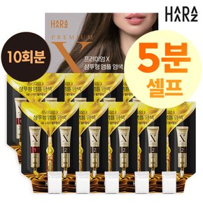 프리미엄X 샴푸형 앰플염색 흑색 10팩
