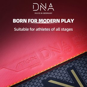 DNA PRO M / H / S 탁구 고무 내부 강력한 탁구 고무 케이크 스펀지용