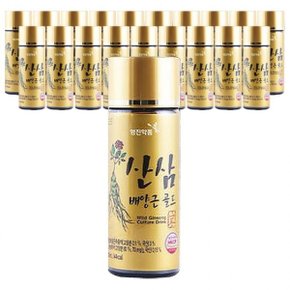 영진 산삼배양근 골드 100ml x 20병