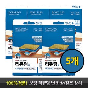 리큐덤 번 깊은 상처에 저자극 2매입 5개 흡수력 좋은 진물 흡수 폼