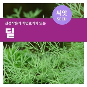 딜 허브 씨앗 400립(1g)