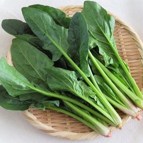 국내산 시금치 1kg