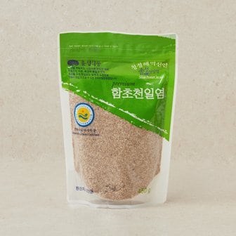  솔섬 함초 천일염 450g